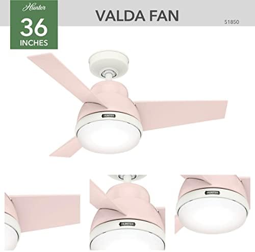 Hunter Valda u zatvorenom stropnom ventilatoru sa LED svjetlom i daljinskim upravljačem, 36 , rumenilo ružičasto