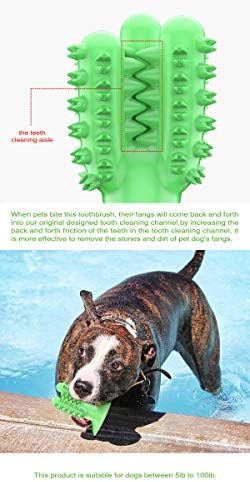 Pas za zube za zube, igračka u obliku kaktusa, čistačica za pse, čišćenje zubnih igračaka sa pamučnim konopom