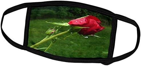 3dRose Renderly Yours Florals-Nova ruža sa pupoljcima Blistajući sa Rose - maske za lice
