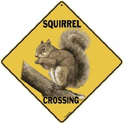 CROSSWALKS Squirrel Crossing 12 X 12 aluminijumski znak