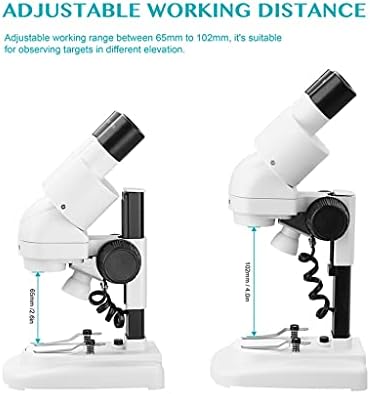 Tfiiexfl 2 0x / 40x Stereo mikroskop 45 ° nagnuti okulari sa Eyecup Top LED Vision PCB Saler mobilni alat