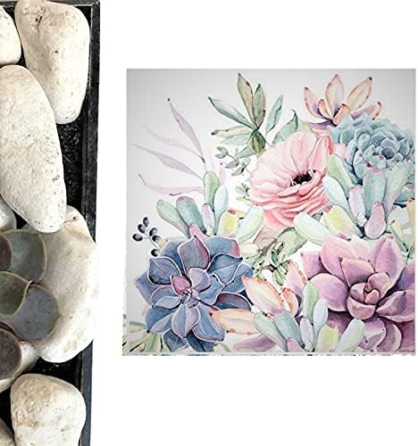 AVEVER 20-CT 13x13 Kaktus Rose salvete cvjetni papir Dekorativni majčini Feets Dan Decoupage Ljeto