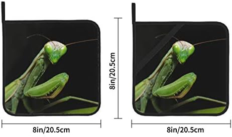 Zeleni bijeli mantis Držači otporni na toplinu otporne na toplinu otporne na toplinu petlje