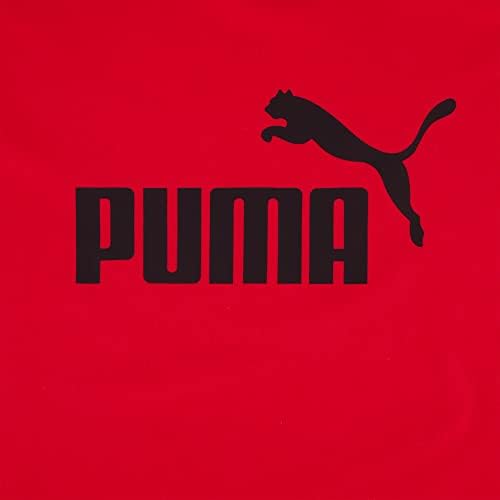 Puma Boys Fleece Pulover Hoodie & Jogger set