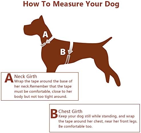 Peshouco kožni pas ručno rađen od prave kože izdržljivi jak kabel za kućne ljubimce s podesivim trakama bez