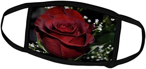 3drose ljepota crvene ruže Crvena ruža-navlake za lice