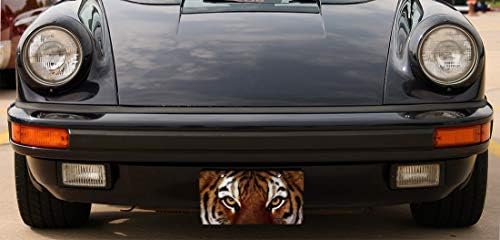 AMCOVE Custom Licency Plate Tiger Eyes Auto Tag za auto, kamion, RV, prikolica, 6 x 12 inča