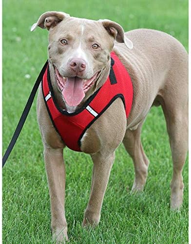 Dostojan pas Sidekick podstavljeni pojas crveni karirani uzorak sa sigurnom kopčom na leđima, podesivim čičak trakom i D prstenovima za povodac - slatki, moderan i udoban Doggy prsluk za hodanje na otvorenom-X-Small
