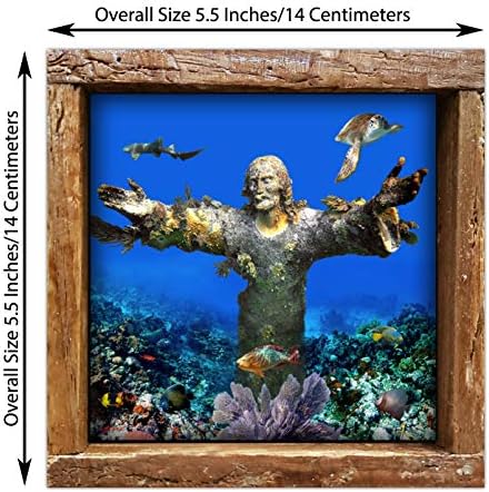 Krist ponora | u Key Largo Florida Podvodna fotografija Print na sjajnoj keramičkoj pločici 4,25 x 4,25 Uokvirenoj u okviru zamke za jastoge
