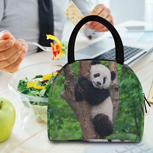 YYZZH slatka Panda medvjed životinja na drvetu zelena džungla šuma izolovana Zipper torba za ručak Cooler Meal Prep torba kutija za ručak kontejnerska torba za odrasle muškarce žene ured kućne škole na otvorenom