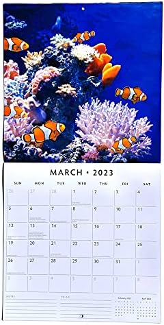 2023. Mjesečni zidni zidni kalendar od 2023. godine Crveni Robin kalendari 12 x 12