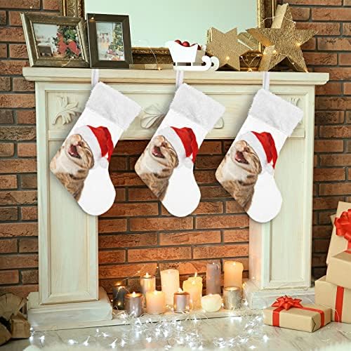 Alaza Božićne čarape Kat u božićnom šeširu klasični personalizirani veliki ukrasi za čarape za obiteljski odmor sezona Party Decor 1 paket, 17.7