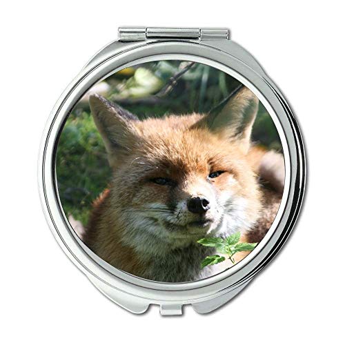 Ogledalo, kompaktno ogledalo, životinja fox sisar, džepno ogledalo, prenosivo ogledalo