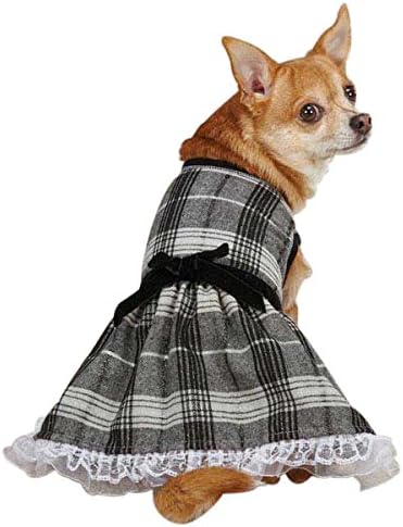 Zack & amp; Zoey Park Avenue dog Dress, XX-mali, crn
