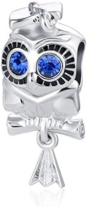 Luluadorn Owl Graduate Blue CZ Charm za narukvice ogrlica privjesak Silver Dangle životinja Diploma kapa certifikat