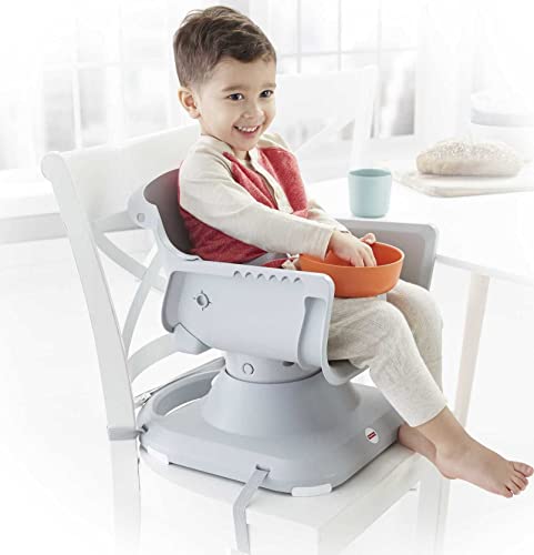 Fisher - cijena Spacesaver visoka stolica prijenosno sjedište za dijete do male djece s dubokom ladicom i oblogom za ladicu, Vjetrenjača [ Exclusive]