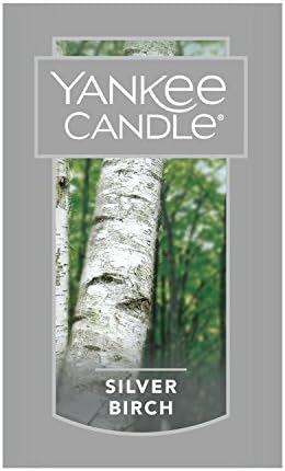 Yankee Candle Velika jar svijeća, srebrna breza i svijeća Velika svjećica svjetla svijeća