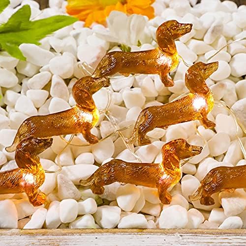 Impress life pet Theme dekorativna svjetla sa žicama, 10ft 30 LED svjetla za pse jazavčara, USB baterija sa daljinskim upravljačem za zatvorene prekrivene vanjske rođendanske zabave za vjenčanje Ornament