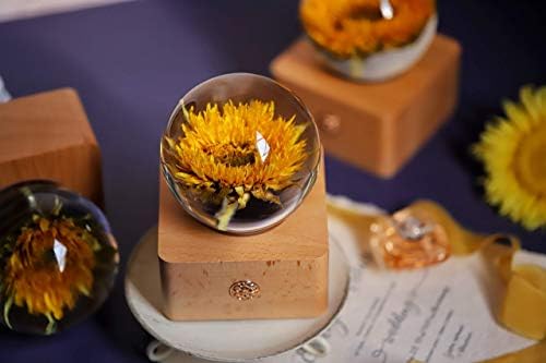 Miss Li Garden Forever Teddy Sunflower Kristalna lopta sa LED lampicama, najbolji pokloni za svoju ženu djevojke