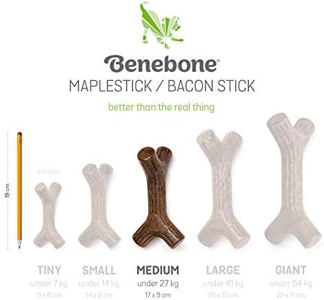 Benebone Maplestick izdržljiv pas žvakač igračaka za agresivne žvakače, pravi javorowood, napravljen u SAD-u,
