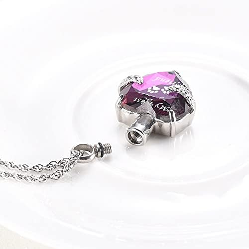 Tianzxs Charm& lijepa Crystal Heart kremiranje pepeo nakit Pet spomen urna ogrlica-gravirano paw Print moj najbolji prijatelj 1