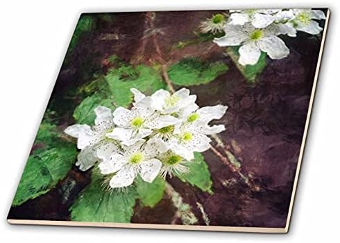 3dRose predivan cvijet snimljen tokom planinarenja, sa digitalnom teksturom. - Pločice.