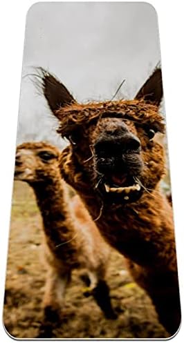 Siebzeh Llama Alpaca Selfie Premium Thick Yoga Mat Eco Friendly Rubber Health & amp; fitnes Non Slip