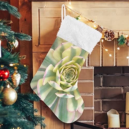 Xigua šarene sočne biljke božićne čarape bijela plišana manžetna čarapa za poklone za ukrase za zabavu ukrasi