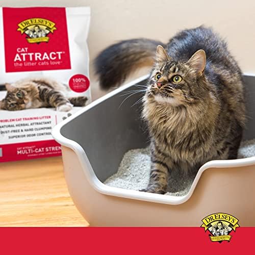 Dr. Elsey's Premium Clumping Cat leglo - Cat Attract - 99% bez prašine, nisko praćenje, tvrdo Zgrudavanje,