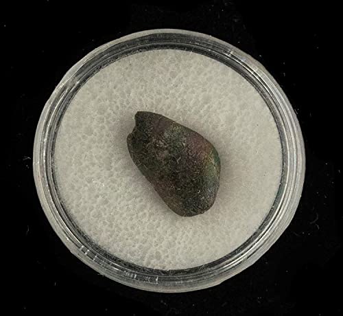 Chelyabinsk meteorit u kolekcionarovoj kutiji