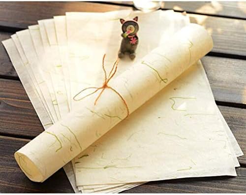 Stobok 40pcs Kineski kaligrafski papir Prirodni biljni cvjetni četkica Rice papir za plaft Ručno izrađeno umjetno tkivo Xuan papirnato pismo Pisanje papira | 28x17x0.01cm