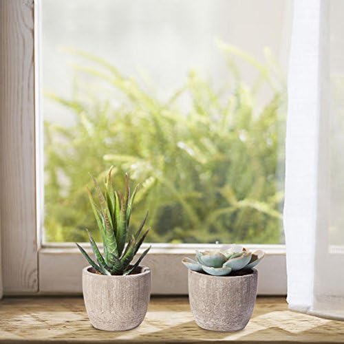 Jelofly lažne biljke veštačke sočne biljke razne dekorativne Faux sočne Saksijske lažni kaktus kaktusi biljke sive saksije, Set od 5