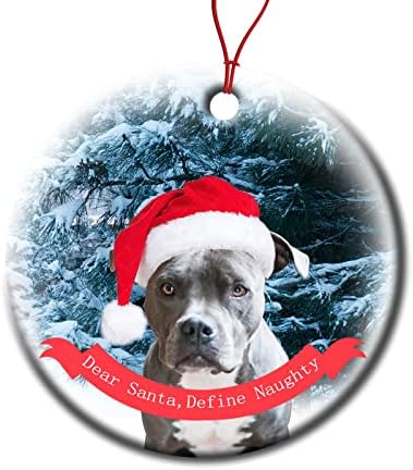 Porculanski Božić viseći privjesak za odmor, plavi Pit Bull pas u Santa šeširu životinjski ukras za božićno drvce ukras poklon za ljubitelja kućnih ljubimaca 3
