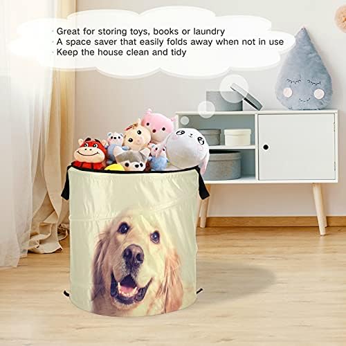 Zlatni retriver pas popnite rublje s poklopcem Sklopiva košara za pohranu sklopnim rublja za putničke sobe