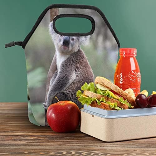 GUEROTKR torba za ručak za muškarce, izolovana kutija za ručak, kutija za ručak za odrasle, šumske životinje