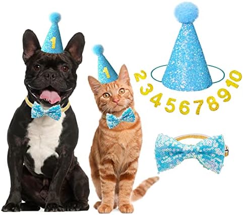 IDOLPET pas mačka rođendanski šešir pas mačka djevojka dječak Rođendanska zabava šešir sa slatkom leptir mašnom