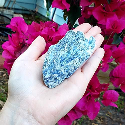 Blue Kyanite iz Brazila Ocjenjivani klaster Druzy Sirovi prirodni grubi kristalni izlječenje uzorka dragulja - Majka Zemlja Stone PC # 1