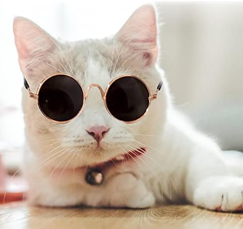 BLMHTWO naočare za sunce za mačke, mačka zlatni lanac Cat Costume Pet Photo rekviziti podesive mačje naočare