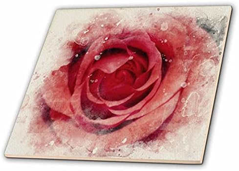 3drose tamnocrveni krupni plan ruže slika akvarela-Tiles