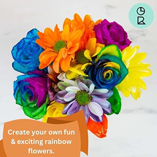 Poklon Republike DIY Rainbow Flowers Kit-Kreirajte svoju zabavu & uzbudljivo Rainbow Flowers