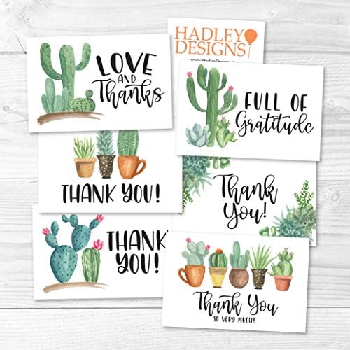 24 sočne kaktusne zahvalnice sa kovertama, odlična nota za sahranu odraslih sa simpatijom ili poklonima za