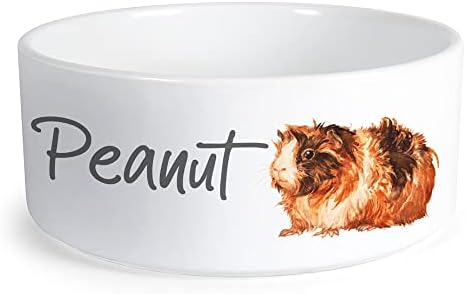 Personalizirana Zdjela za psa sa fotografijom vašeg ljubimca, prilagođeno ime i zdjela za psa, posuda