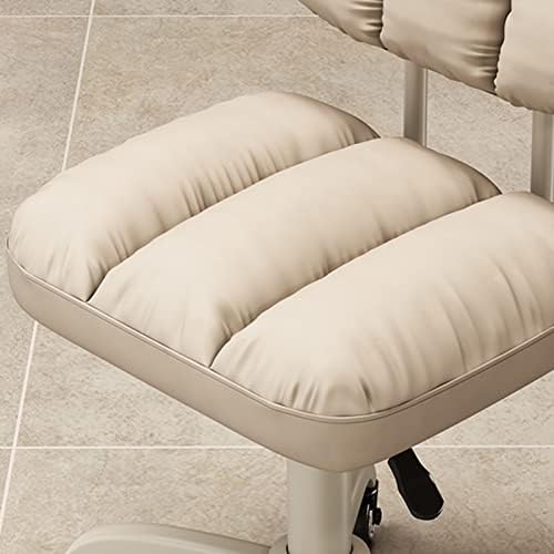 FEHUN Salon masažna stolica sa naslonom Podesiva okretna Hidraulična stolica za podizanje gasa za frizerski manikir Tattoo Beauty Masaža Spa Salon / bež
