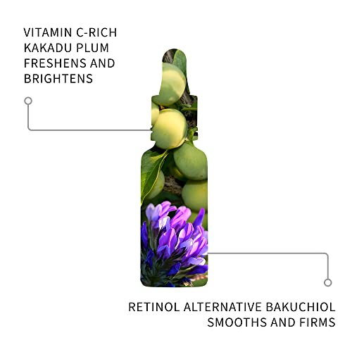 Antipodes Glow ritualni Serum vitamina C sa biljnom hijaluronskom kiselinom 10ml-Mini