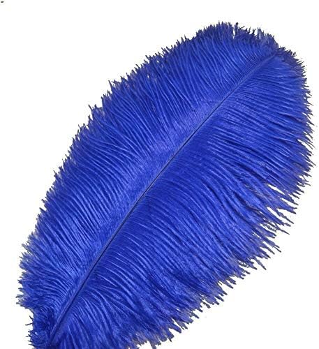 TTNDstore 10kom prirodno Kraljevsko plavo nojevo perje za zanate 15-70cm nojevo pero karnevalska svadbena