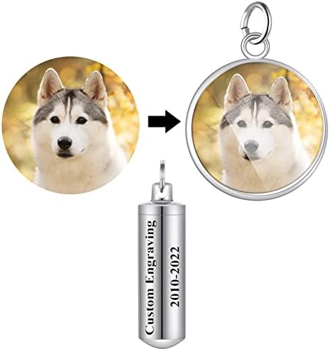 Hooami kremiranje nakit za pepeo pet štene pas Paw Cylinder spomen ogrlica urne / privjesak za ključeve uspomena