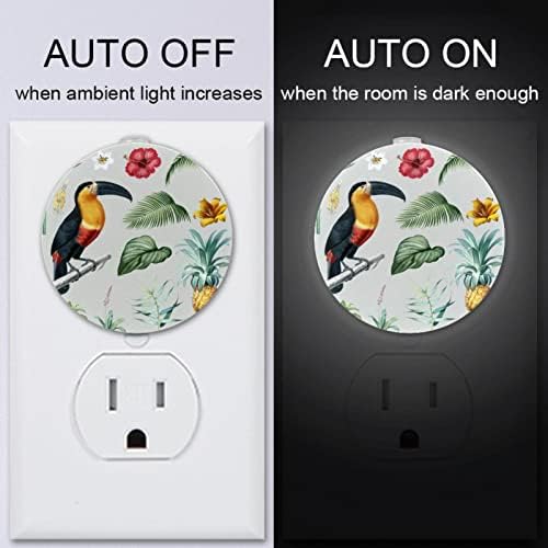 2 paket Plug-in Nightlight LED Night Light Macaw & uzorak lišća sa senzorom od sumraka do