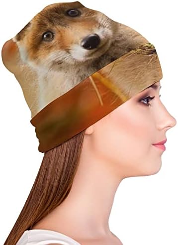 BAIKUTOUAN slatka mala lisica Print kapice za muškarce žene sa dizajnom Lobanja kapa