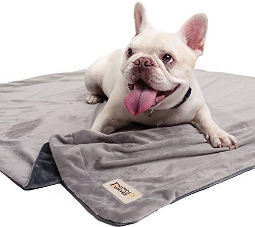 Friends Forever Bailey Izdržljivi pas pokrivač za zaštitu kauča | Dvije tonske reverzibilne kućne ljubimce otporno na pse za pse mačke kreveti za krevete za krevete za krevete za krevete - meka baršuna, toplo runo, velika