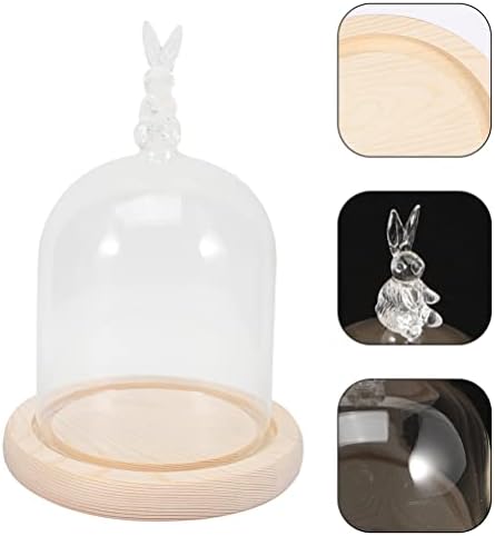 Zerodeko Bunny Decor 1 Set prozirnog stakla Cloche kupola Bell Jar vitrina sa Zečjom ručkom terarijum Jar